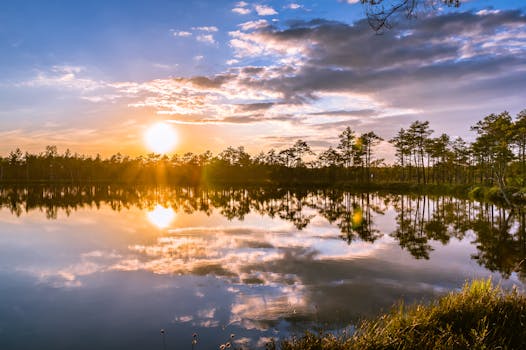 平静的湖面上，日落映照着树木的倒影，营造出宁静的风景