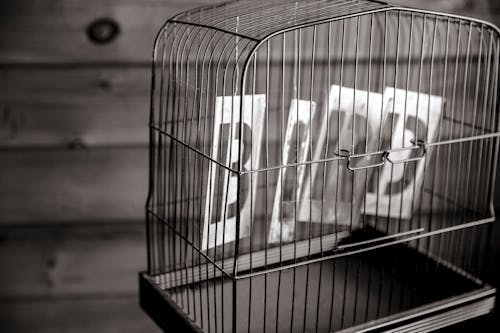 Gratuit Photos gratuites de cage à oiseaux, noir et blanc Photos