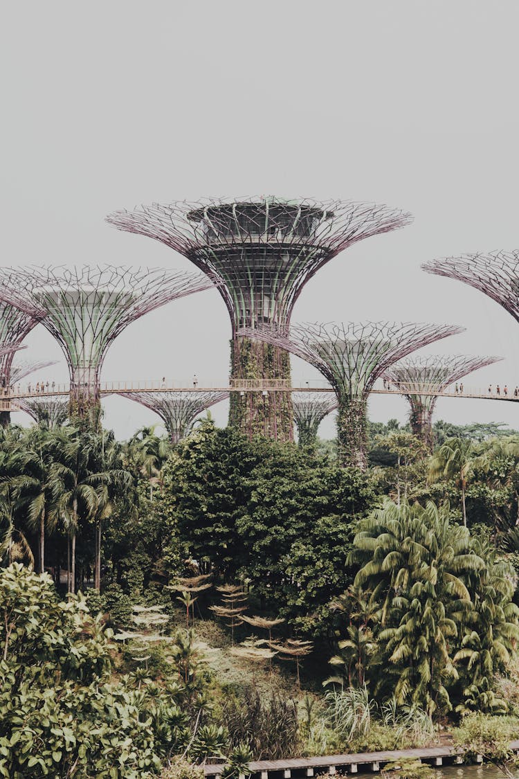 OCBC Skyway Under White Sky