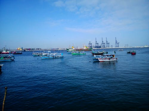 Foto d'estoc gratuïta de barques, mar, mar àrab