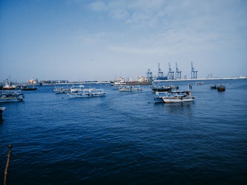 Foto d'estoc gratuïta de aigua, barques, embarcació de vela