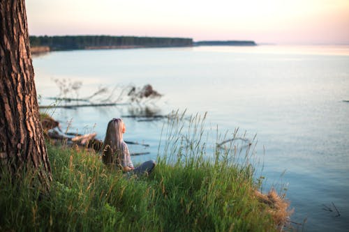 Free Photo of Woman Sitting on Grass Near Lake Stock Photo