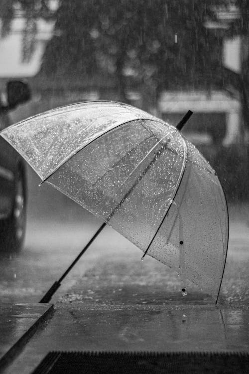 Gratis lagerfoto af gråtoneskala, paraply, regn