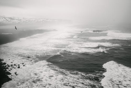 Бесплатное стоковое фото с берег, волны, зима