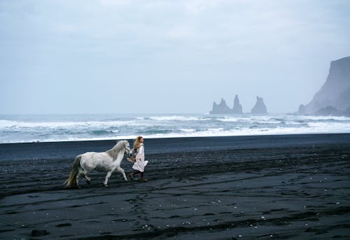 A Woman Walking on a Beach with a White Horse 