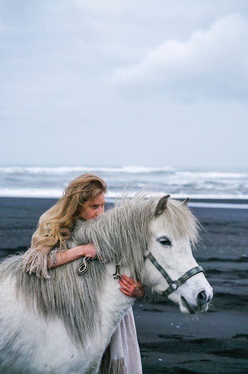 Foto profissional grátis de animal, cabelo comprido, cavalo