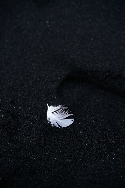A single white feather delicately placed on dark black sand, creating a striking contrast.