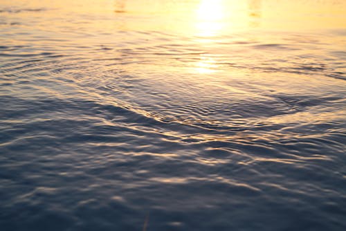 Sunlight Reflecting in Rippled Sea Water