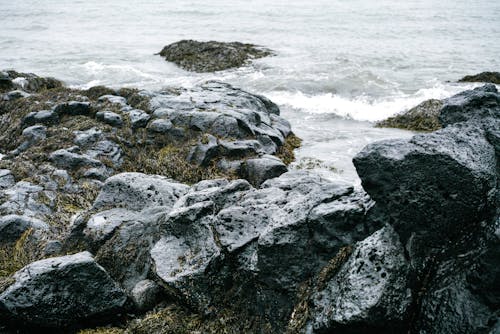 Kostenloses Stock Foto zu erodiert, felsen, küste