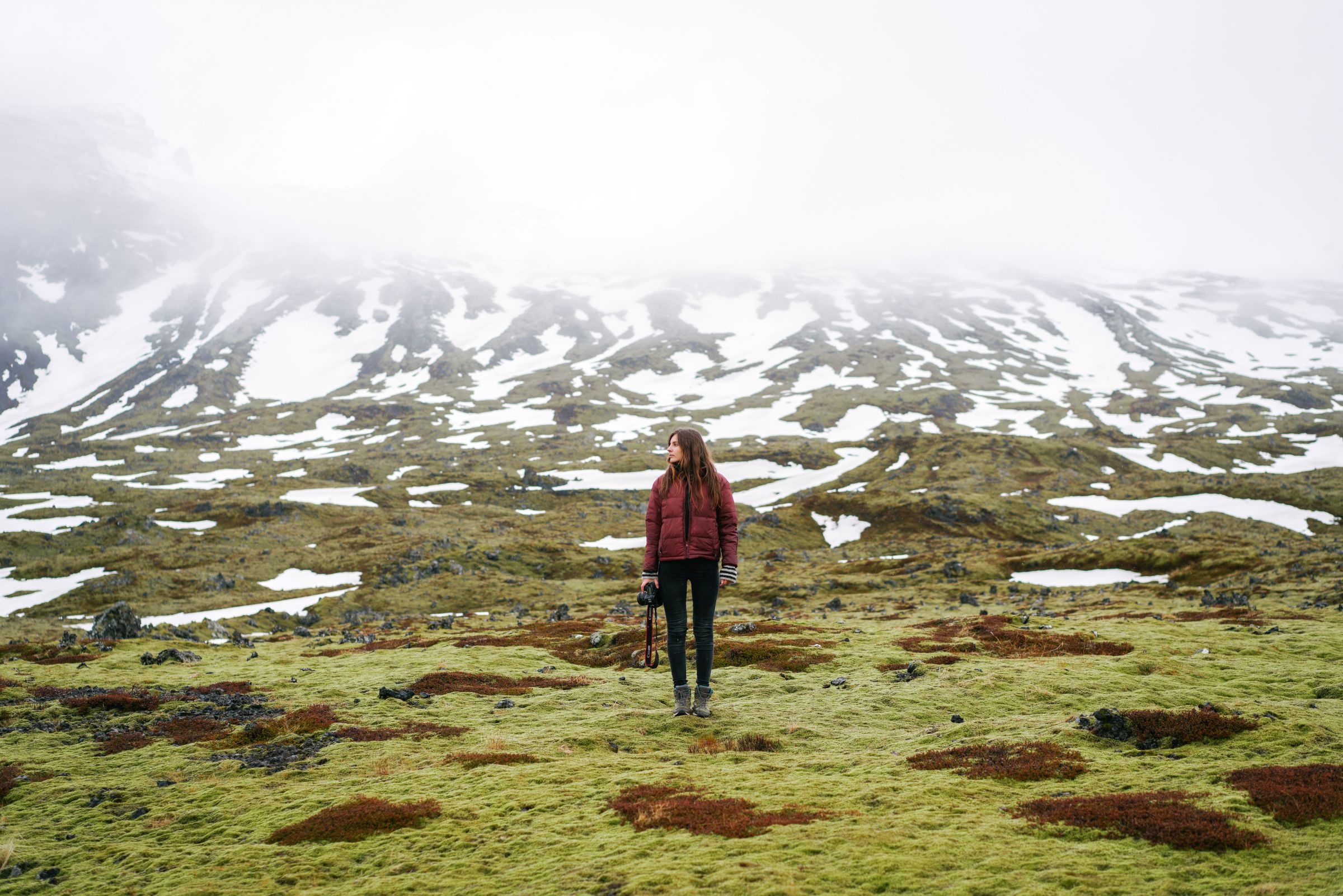 Ijsland natuur