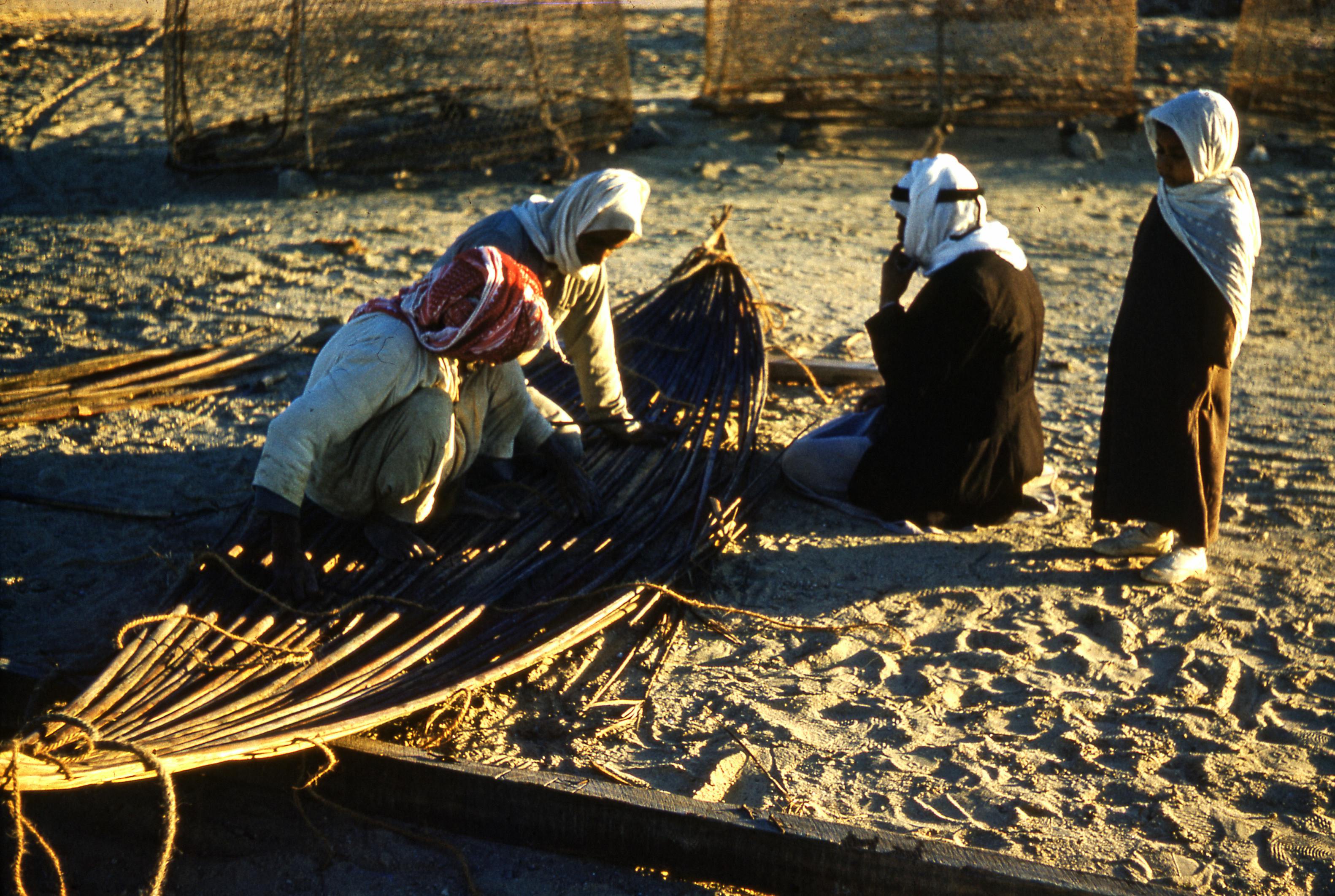Free People Making Hammock on Sandy Ground Stock Photo