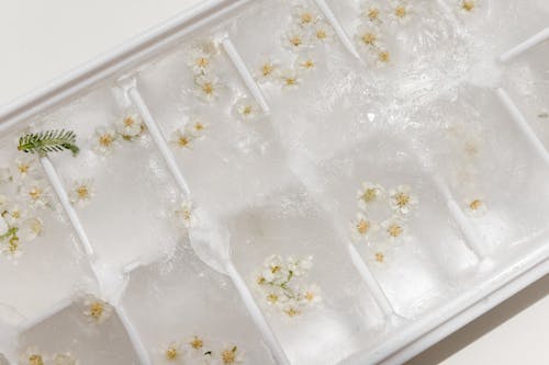 Základová fotografie zdarma na téma bílé květy, detail, ledové kostky