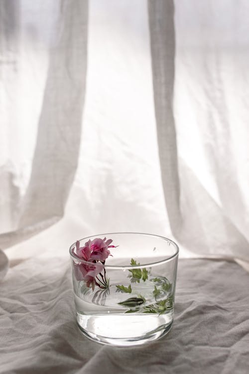 A Glass of Water with Pin Flowers