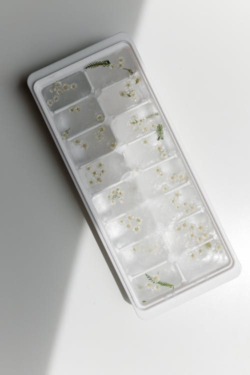 Ice Cubes with White Flowers on a Molder