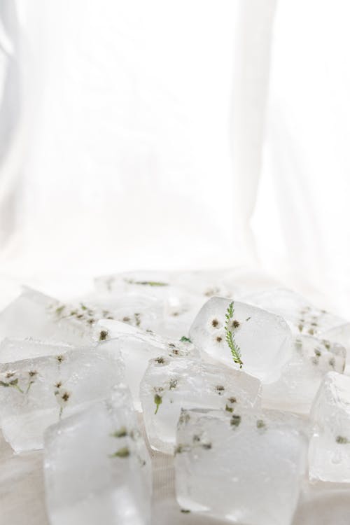 Ice Cubes with Small Flowers in Close-up Photography