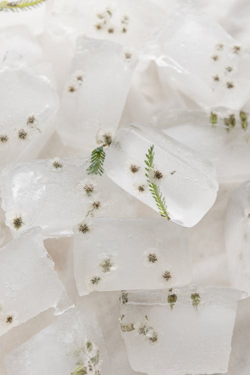 Ice Cubes with White Flowers in Close-up Photography
