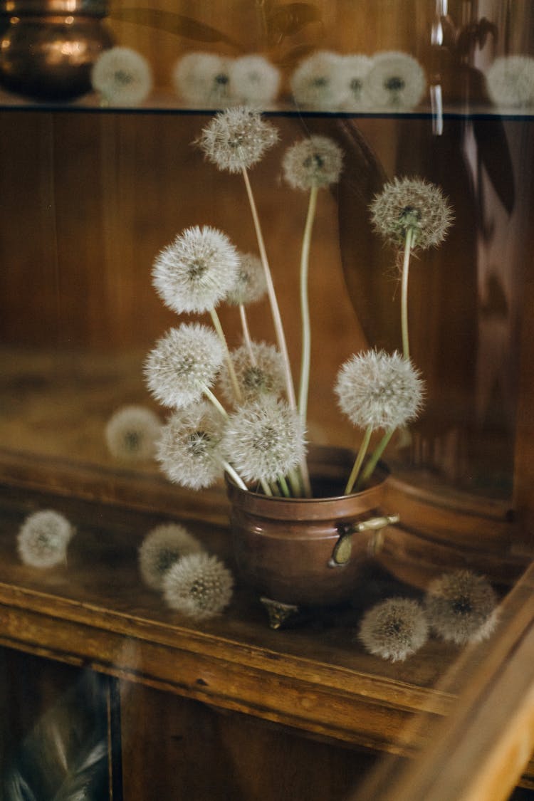 Dandelions In A Copper Pot