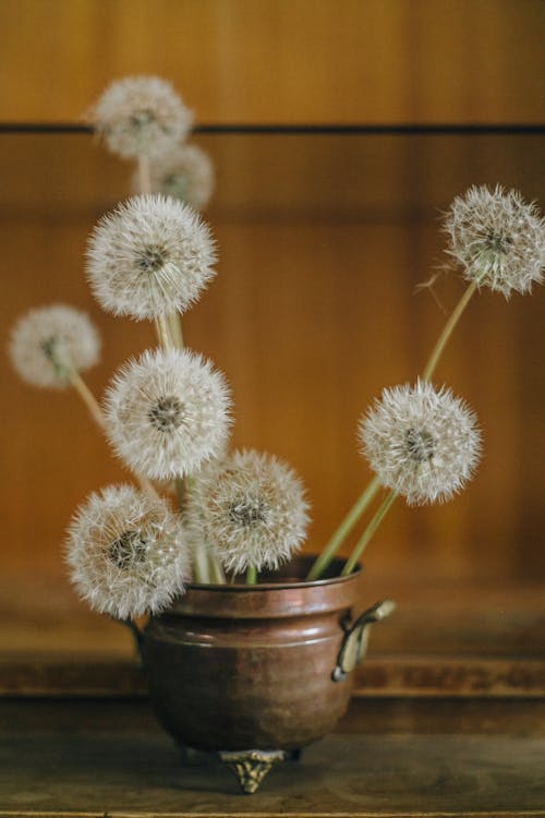 Dandelions in a Copper Pot