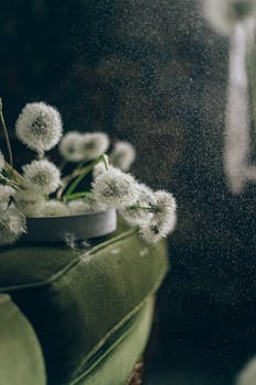 蒲公英排列精致，带有一丝复古优雅，并能反射光线