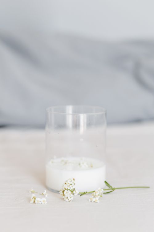 Free A clear glass with milk and Baby's Breath flowers on a soft white surface. Minimalist elegance. Stock Photo
