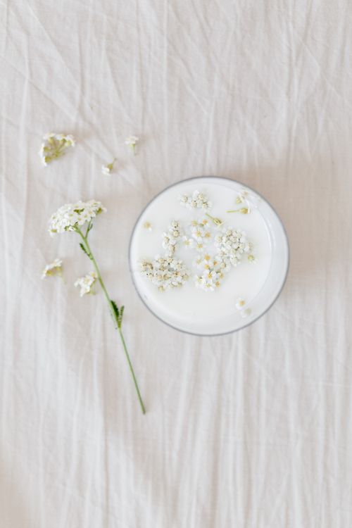 Free Top view of a glass of milk adorned with baby's breath flowers on a light fabric. Stock Photo