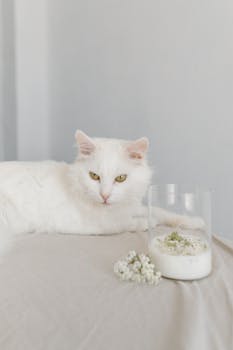 一只白色的猫安静地躺在插花旁，懒洋洋的，营造出一片宁静的景象