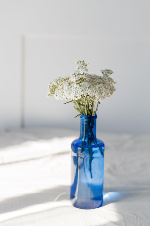 Бесплатное стоковое фото с белые цветы, вертикальный выстрел, декорация