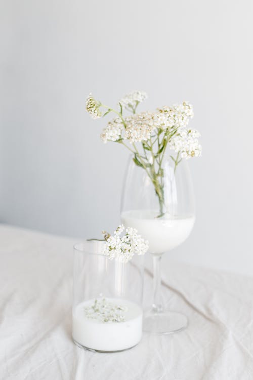 Fotobanka s bezplatnými fotkami na tému biele kvety, dekorácia, pohár na víno