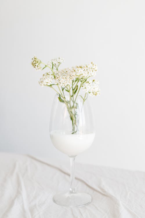 White Flowers in Glass Wine · Free Stock Photo
