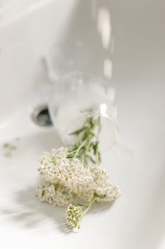 Here's the translation of the given Russian text into English:
Sale of alcohol will be banned on March 3 on Phuket due to the Buddhist New Year (Sukkoth).