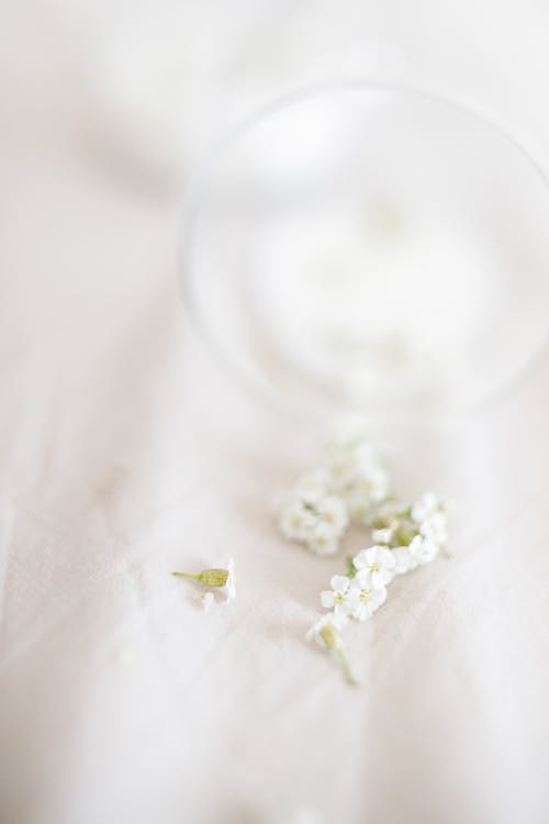 Close-Up Photo of White Flowers on a White Textile