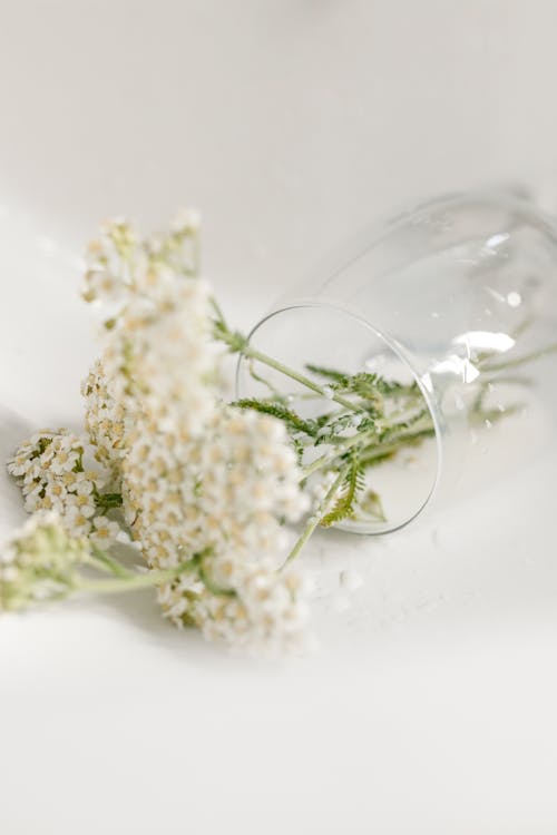 Fotos de stock gratuitas de amor, Boda, bonito