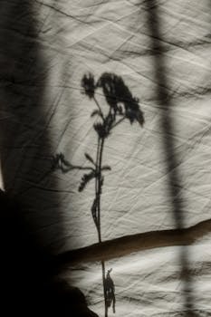 皱巴巴的织物上投映着野花阴影的剪影，营造出艺术效果