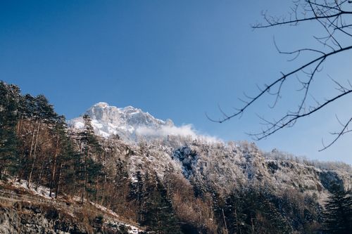 Free Snow-covered mountain peak with evergreen trees under a clear blue sky. Stock Photo