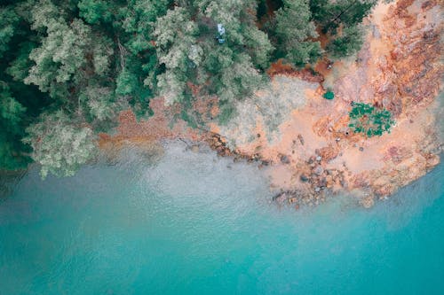 Immagine gratuita di aereo, albero, altezza