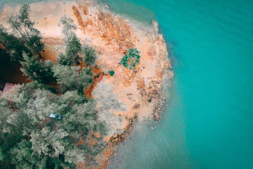 Immagine gratuita di acqua, aereo, albero