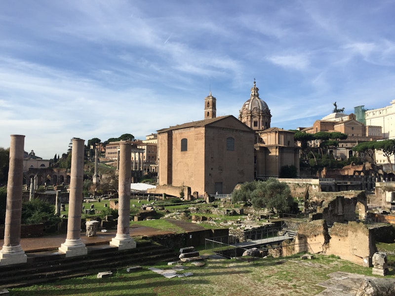 Domba di Padang Rumput