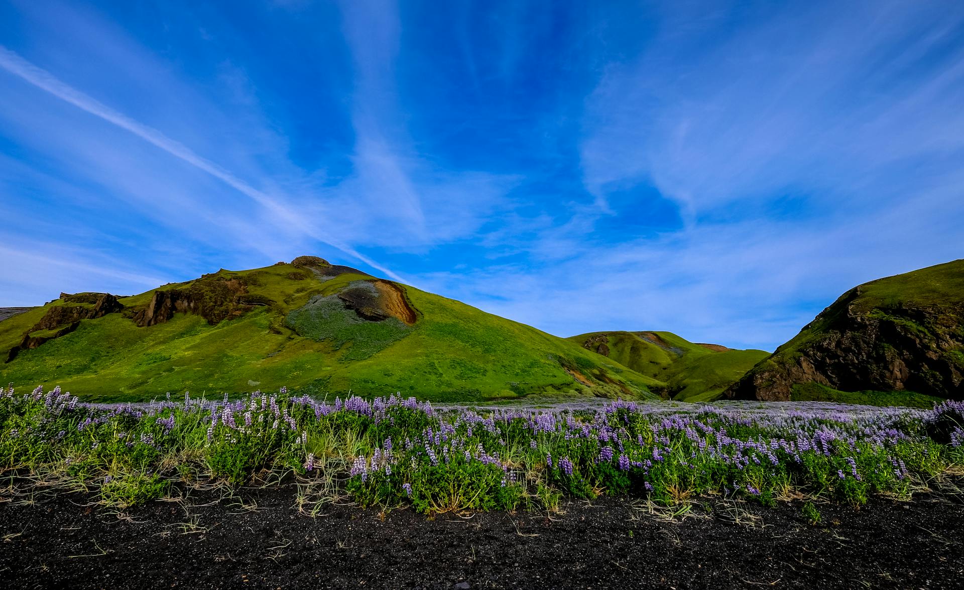 Beautiful spring landscape featuring lush green hills and vibrant lavender fields under a bright blue sky.