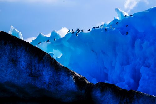 Free Majestic winter scene of birds perched on an iceberg against a bright blue sky, showcasing the beauty of nature. Stock Photo