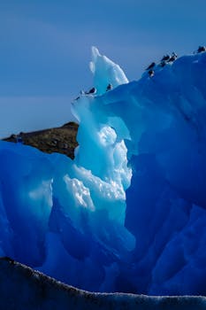 生动的冰层与鸟类休憩的景象，捕捉了大自然的美丽