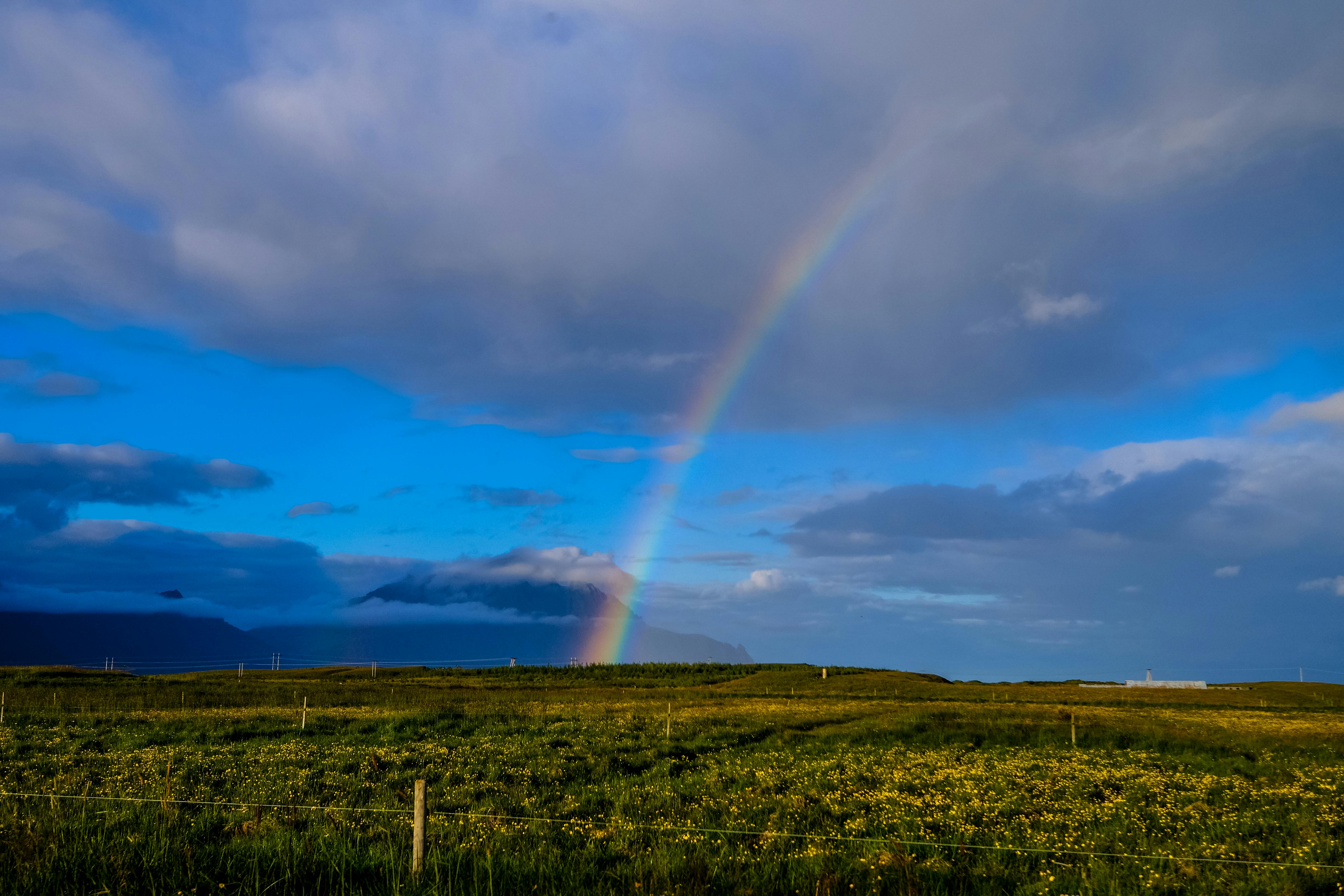 Landscape Photography of Field