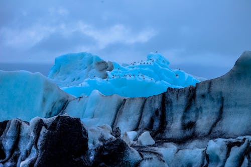 Základová fotografie zdarma na téma cestování, denní světlo, globální oteplování