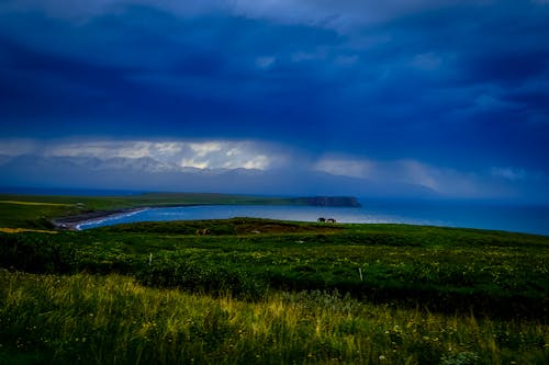 Green Grass Field Near Body of Water