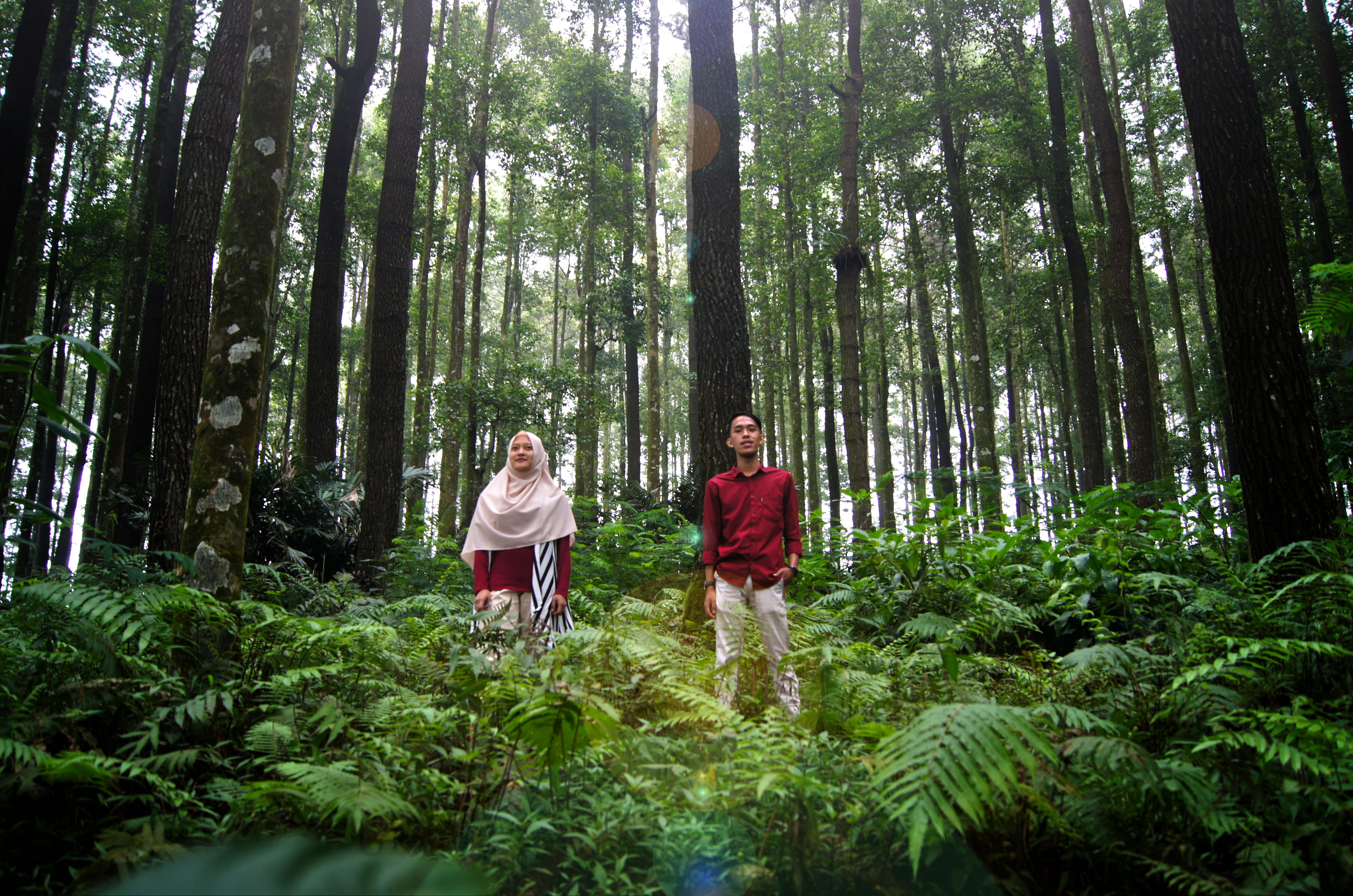 A Man and a Woman Standing in a Forest · Free Stock Photo