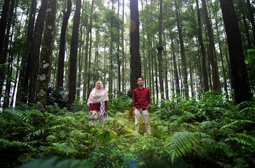 A Man and a Woman Standing in a Forest