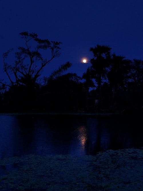 ay, Dolunay, gece gökyüzü içeren Ücretsiz stok fotoğraf