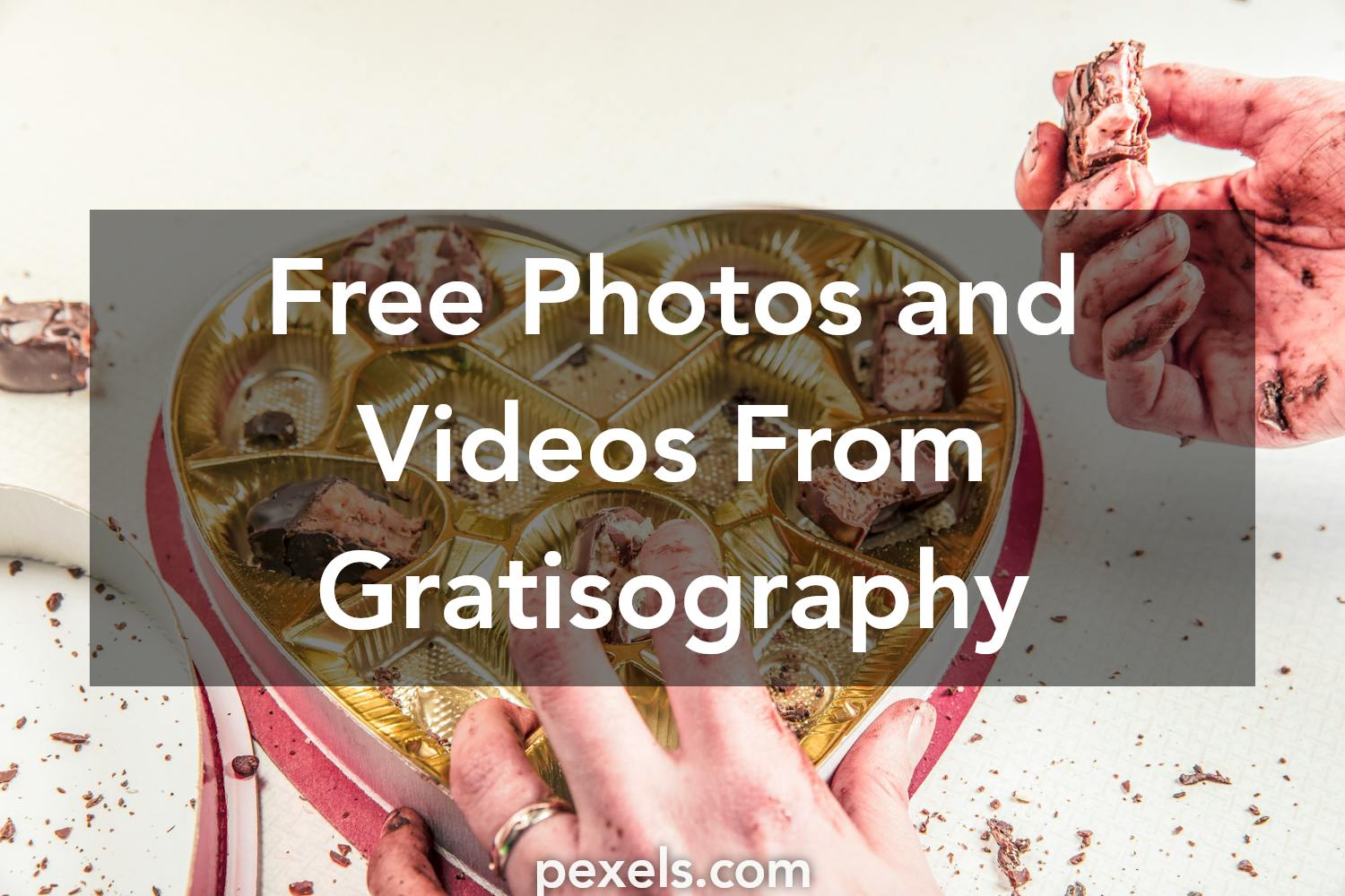 Free Clear Photos - Gratisography
