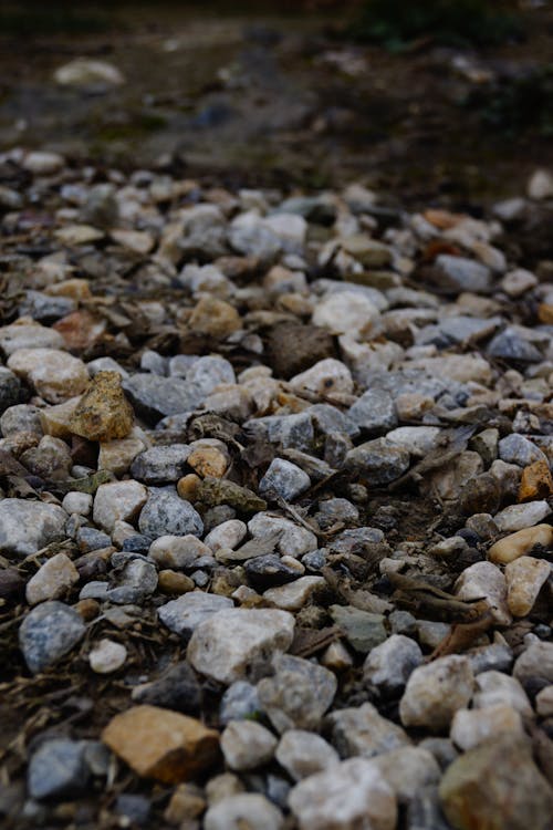 Free stock photo of pebble, rounded