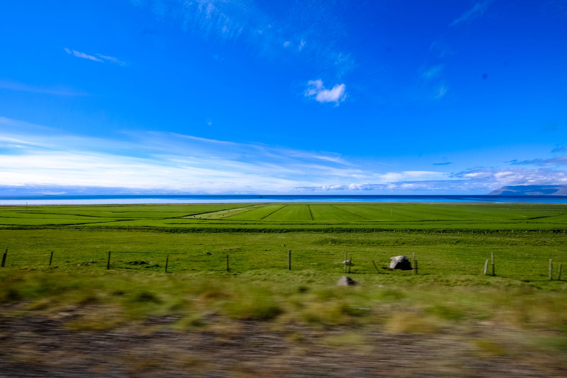 Green Crop Field Free Stock Photo green-crop-field-free-stock-photo