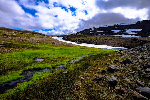 高山景色优美，绿草如茵，积雪皑皑，天空充满活力